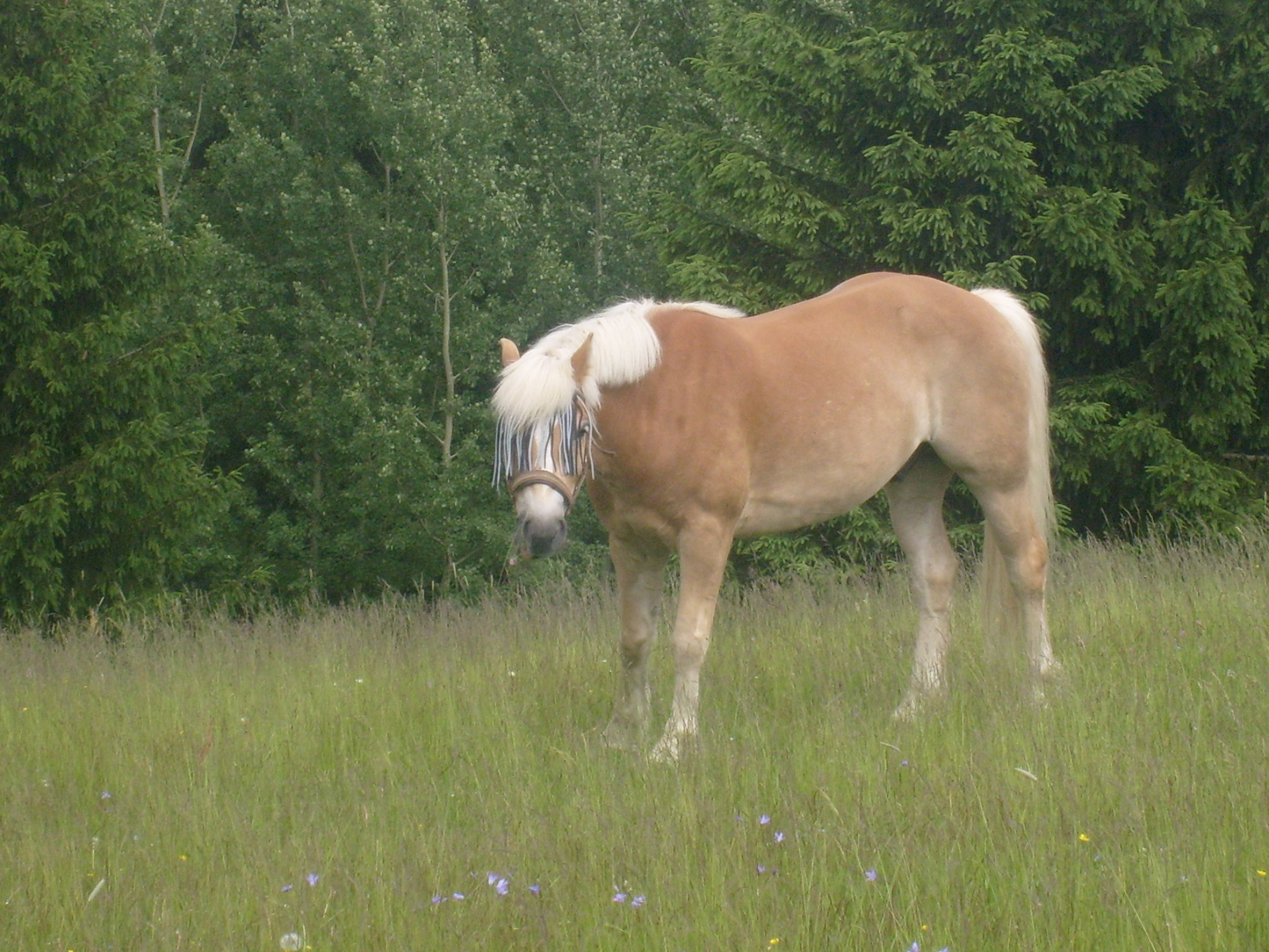 S6300767.JPG