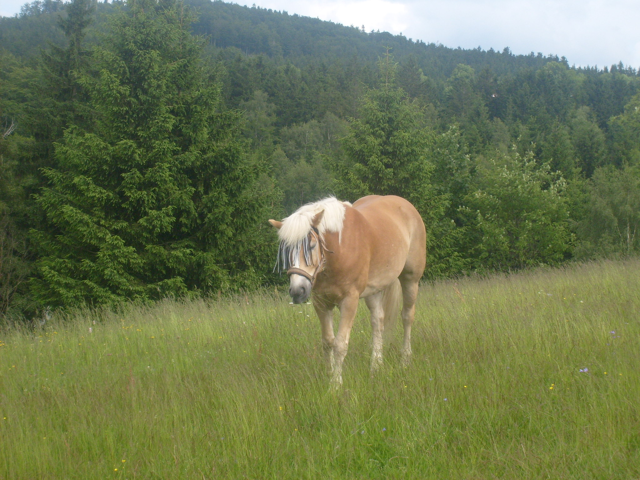 S6300773.JPG