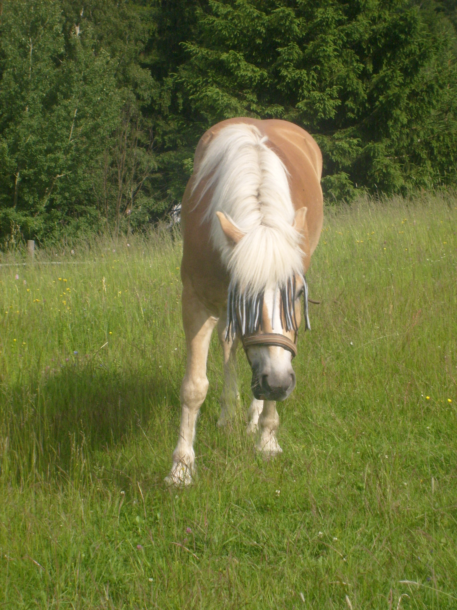 S6300782.JPG