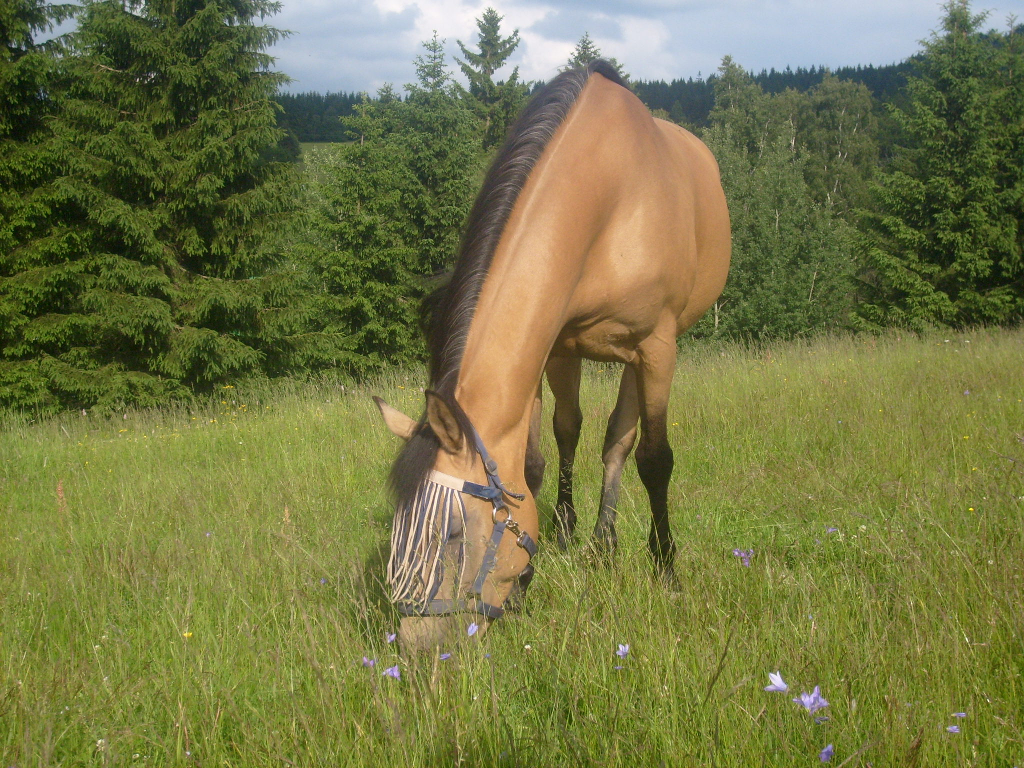 S6300810.JPG
